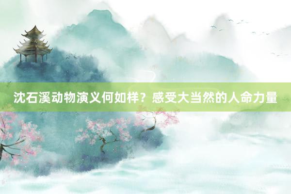 沈石溪动物演义何如样？感受大当然的人命力量