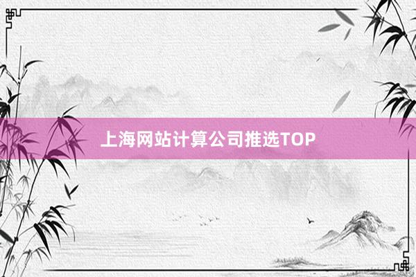 上海网站计算公司推选TOP