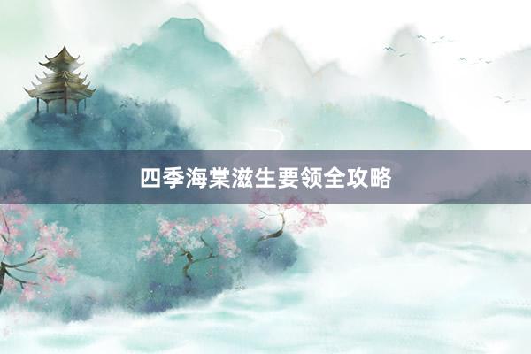 四季海棠滋生要领全攻略