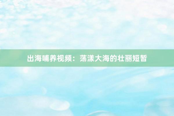 出海哺养视频：荡漾大海的壮丽短暂